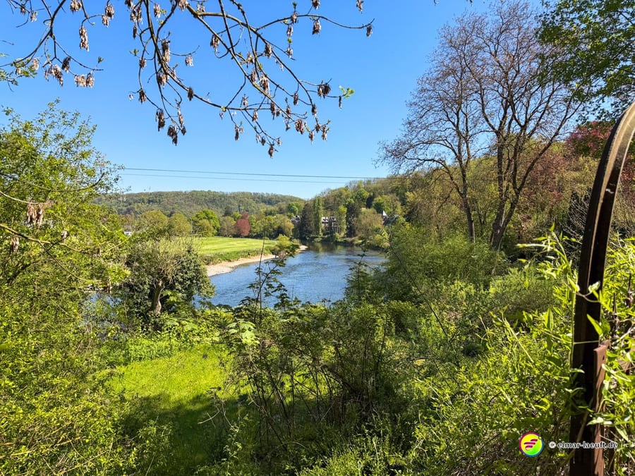 Blick durch Zweige auf Flussschleife, Wiese und bewaldete Hügel.