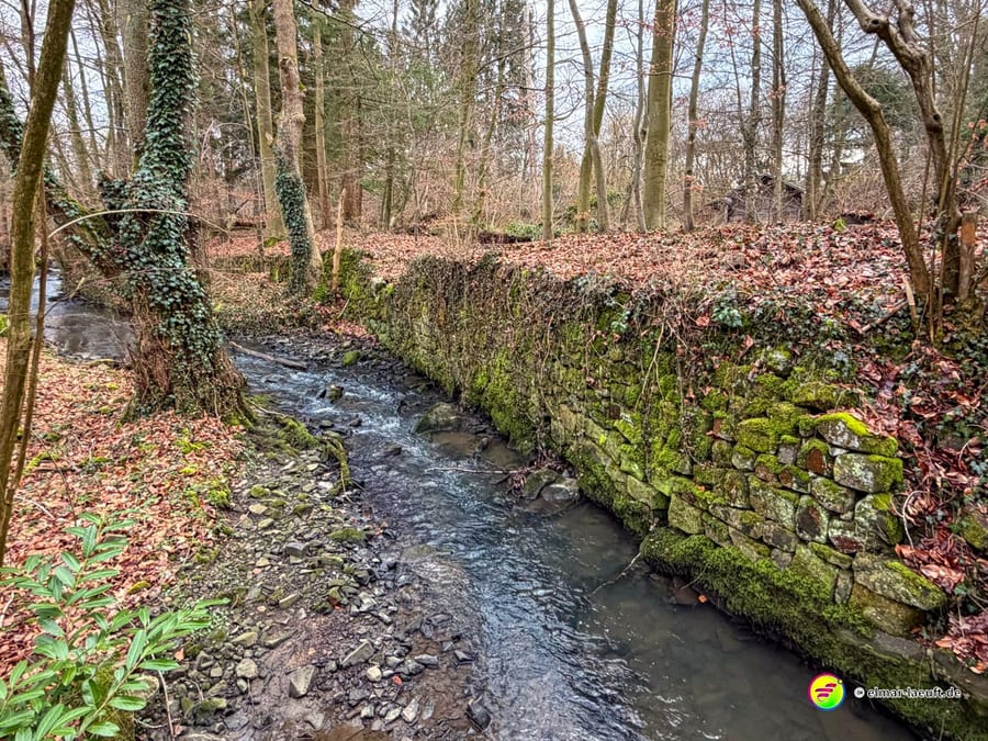 Waldbach mit moosbedeckten Steinen und Felsen im Herbstlaub. Der 'Lindengraben' genannte Bachlauf fließt durch einen naturbelassenen Laubwald mit charakteristischem Mikroklima.