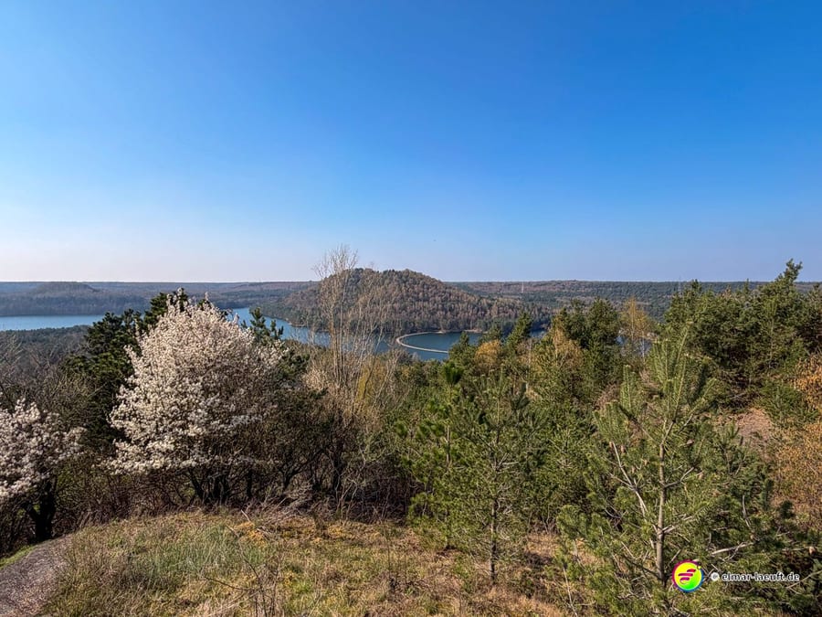 Laufen in Maasmechelen mit Blick auf blühende Bäume, dichte Wälder und einen See unter klarem Himmel.