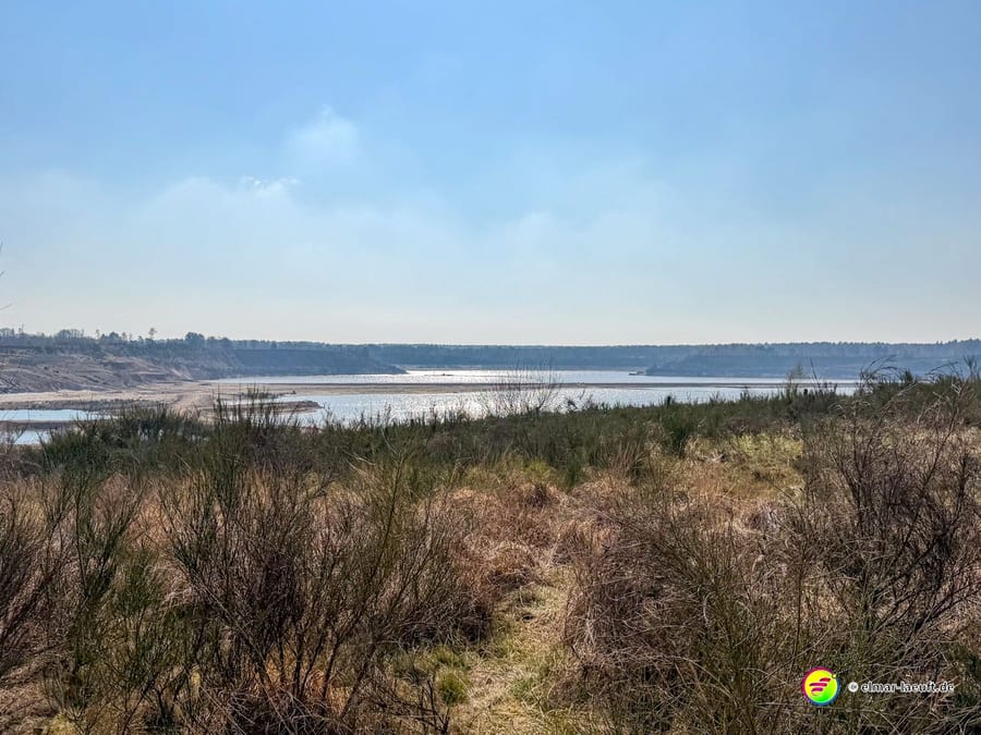 Laufen auf einem schmalen Pfad durch trockenes Buschwerk mit Blick auf einen großen See und bewaldete Ufer in Maasmechelen.