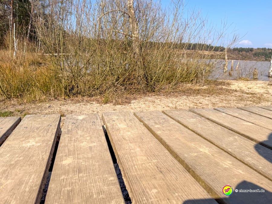 Blick beim Laufen in Maasmechelen auf einen Holzsteg mit Buschwerk und einem See im Hintergrund.