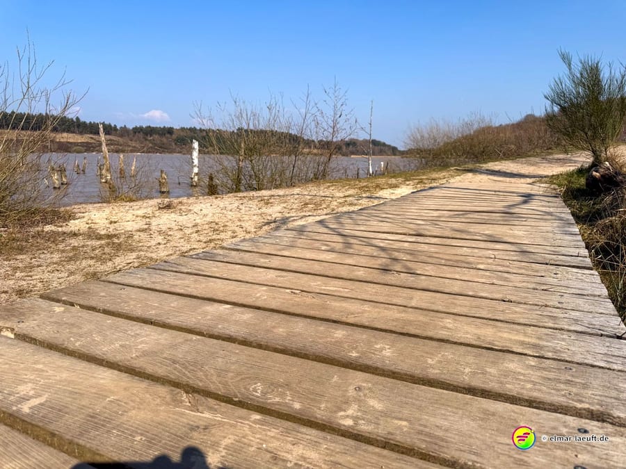 Laufen auf einem Holzsteg entlang eines Gewässers mit kahlen Büschen und blauem Himmel in Maasmechelen.