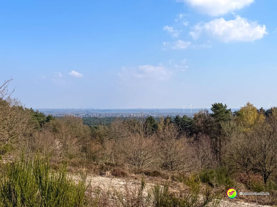 Blick beim Laufen über eine hügelige, bewaldete Landschaft mit vereinzelten Windrädern am Horizont unter blauem Himmel.