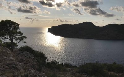 Unter der Sonne Mallorcas