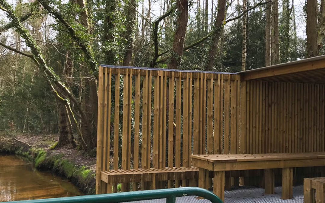 Ostern alleine im Wald – und auch keine Hasen gefunden