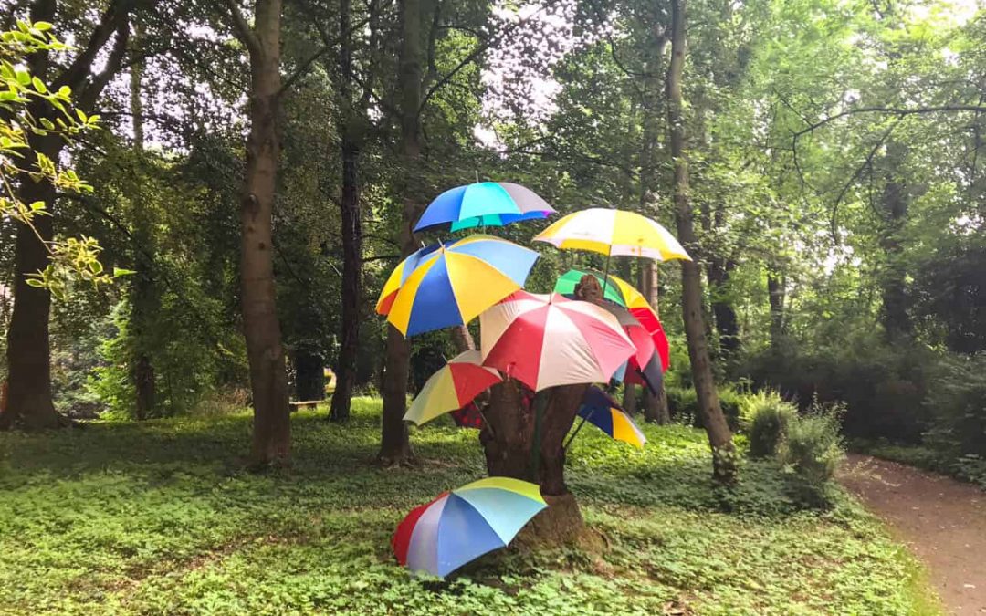 Bullenhitze und Regenschirme