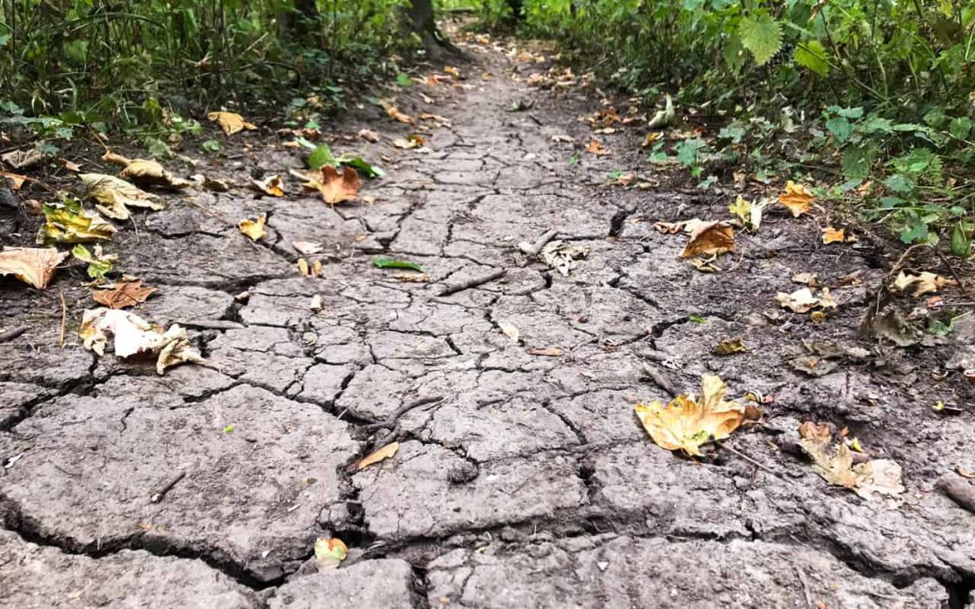 Drei Länder über Eck