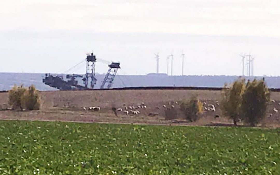 Im Schatten der Bagger