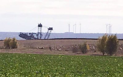 Im Schatten der Bagger