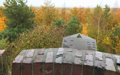 Gesucht: Hambacher Forst