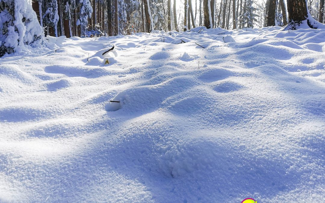 Außen Schnee, innen Matsch