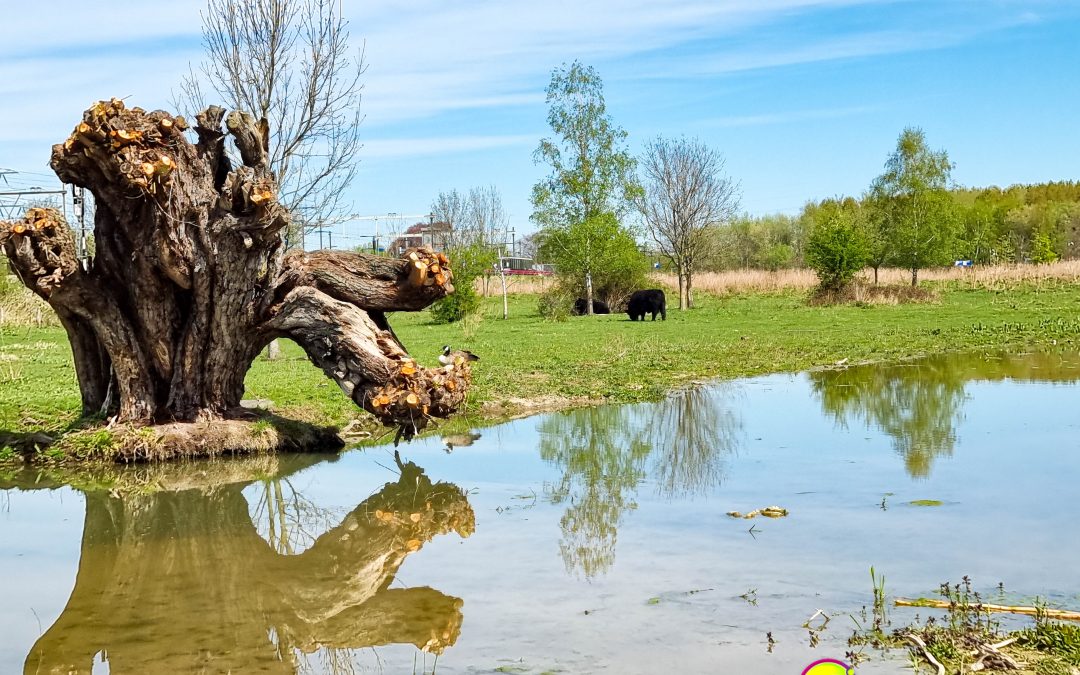 Run by the river: Bunde und Meerssen