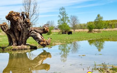 Run by the river: Bunde und Meerssen