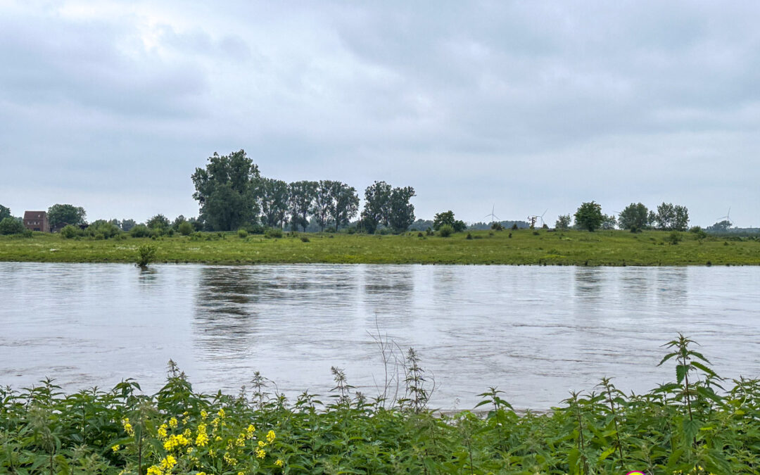 Naturschutzgebiet Meerssen Itteren