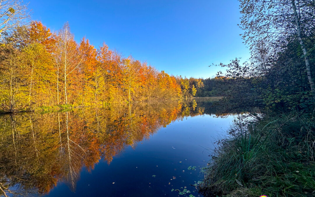 Herbstlicht fällt auf Alt-Kaster