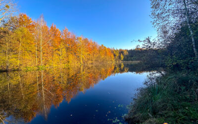 Herbstlicht fällt auf Alt-Kaster