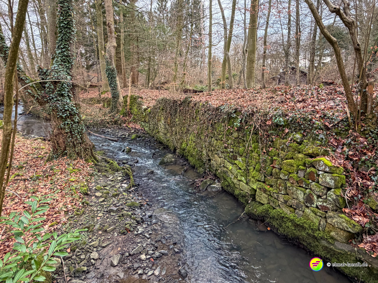 Waldbach mit moosbedeckten Steinen und Felsen im Herbstlaub. Der 'Lindengraben' genannte Bachlauf fließt durch einen naturbelassenen Laubwald mit charakteristischem Mikroklima.