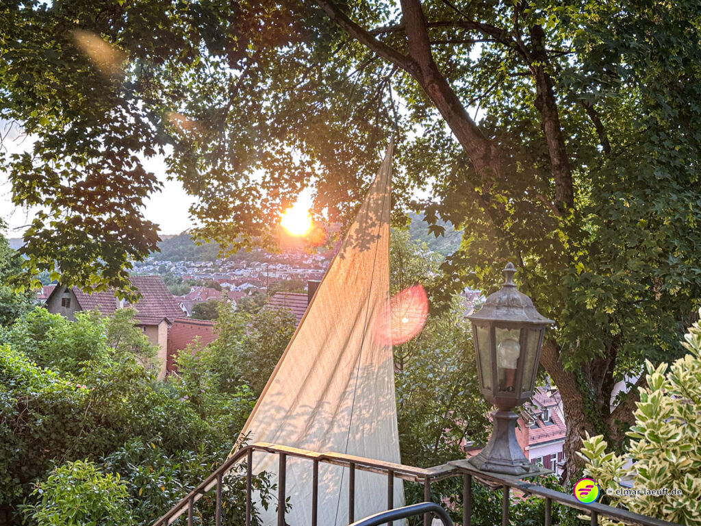 Laufen in Tübingen mit Blick auf die Stadt und die untergehende Sonne, umgeben von Bäumen und einem alten Laternenpfahl.