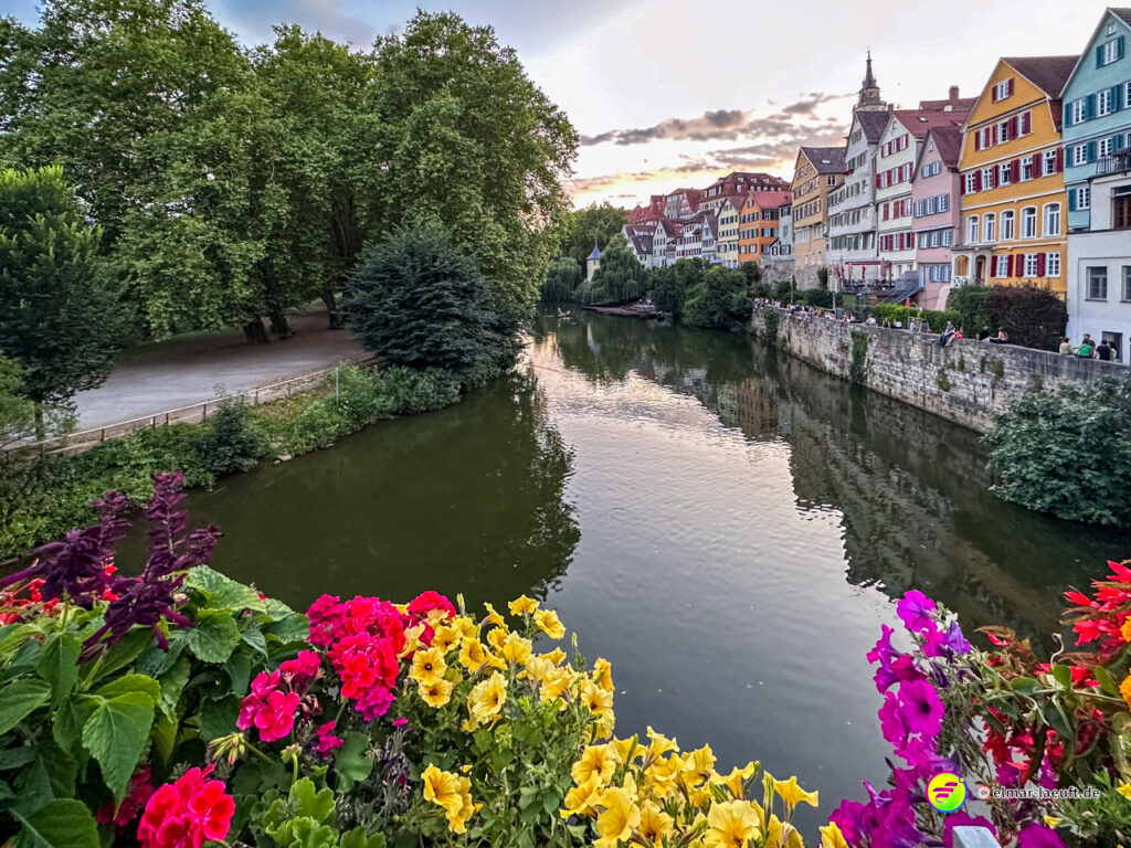 Laufen entlang eines Flusses in Tübingen mit Blick auf bunte Blumen im Vordergrund, grüne Bäume links und historische Fachwerkhäuser rechts bei ruhigem Wetter.