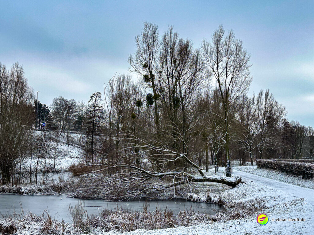 Laufen auf einem verschneiten, schmalen Weg entlang eines zugefrorenen Teichs mit kahlen Bäumen in einer ruhigen Winterlandschaft.