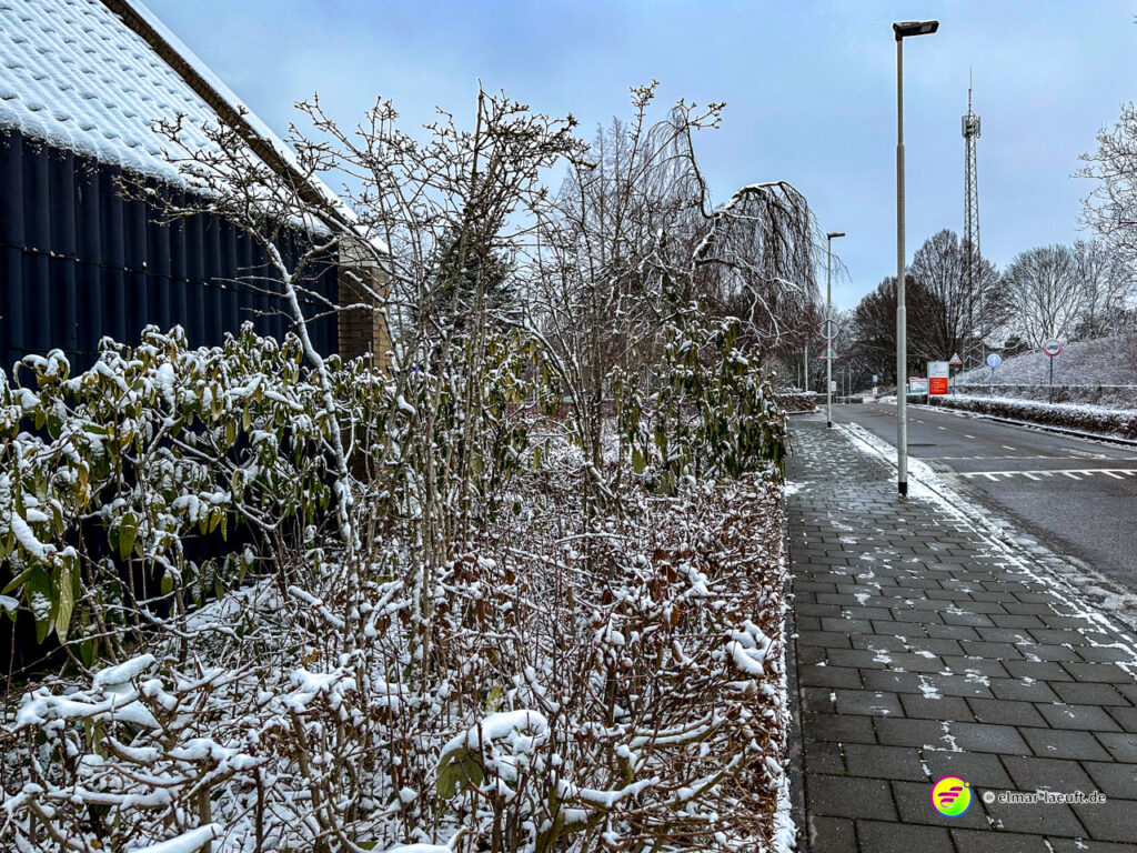 Laufen auf einem schneebedeckten Gehweg entlang einer Straße in einer winterlichen, urbanen Umgebung mit kahlen Bäumen und vereisten Pflanzen.