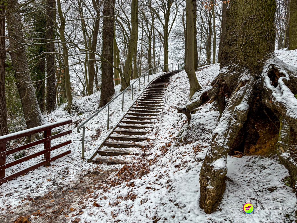 Laufen auf verschneitem Waldpfad mit steiler Treppe und altem Baum mit sichtbaren Wurzeln in Heerlen.
