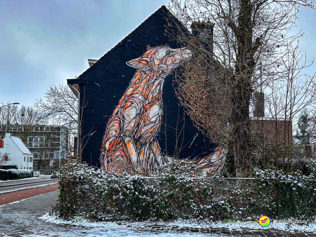 Laufen in Heerlen an einem winterlichen Straßenrand mit einem großen, farbenfrohen Fuchs-Graffiti an einer Hauswand.