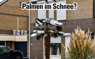 Heerlen im Winterlicht: Street Art, römische Spuren und verschneite Pfade