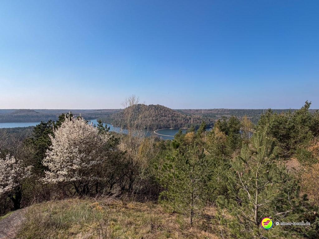 Laufen in Maasmechelen mit Blick auf blühende Bäume, dichte Wälder und einen See unter klarem Himmel.