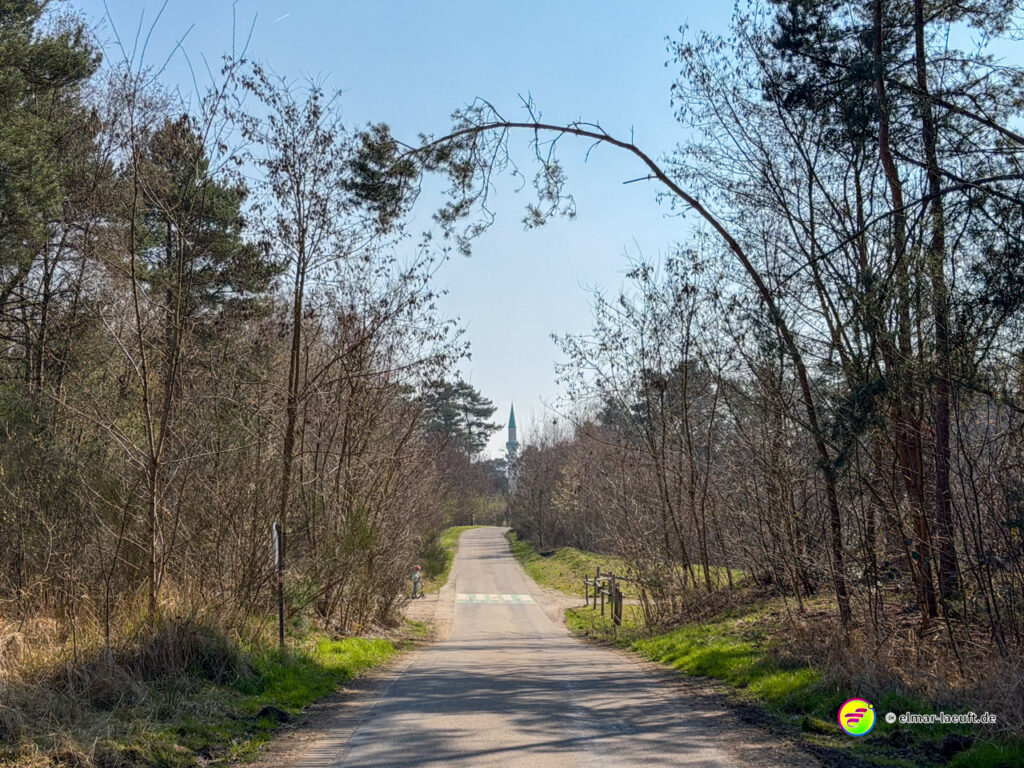 Laufen auf einem ruhigen, von Bäumen gesäumten Weg in Maasmechelen mit Blick auf einen Kirchturm am Horizont.