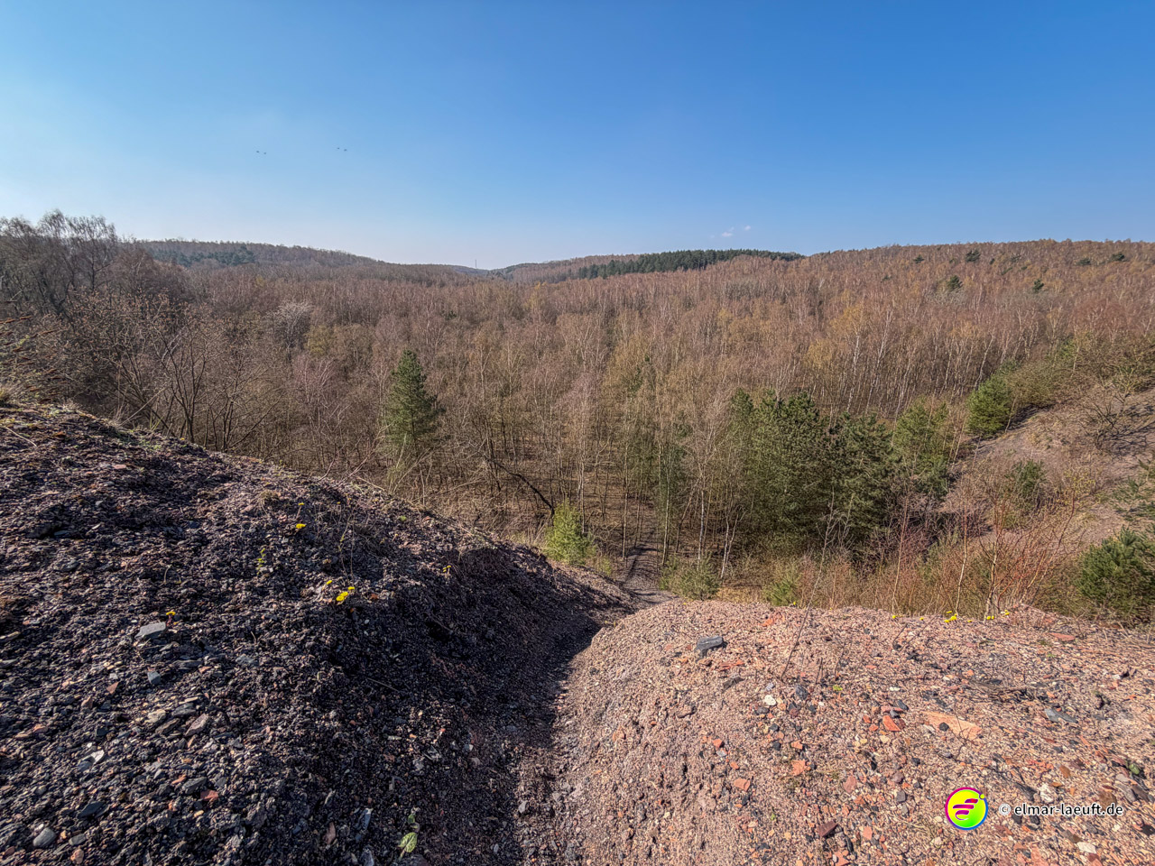 Laufen auf einem schmalen, steinigen Pfad mit Blick auf einen weiten, herbstlich wirkenden Wald in Maasmechelen.