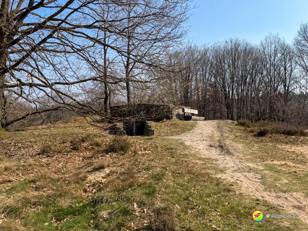 Laufen auf einem sandigen Pfad in Maasmechelen vorbei an einem alten Bunker und kahlen Bäumen im Hintergrund.