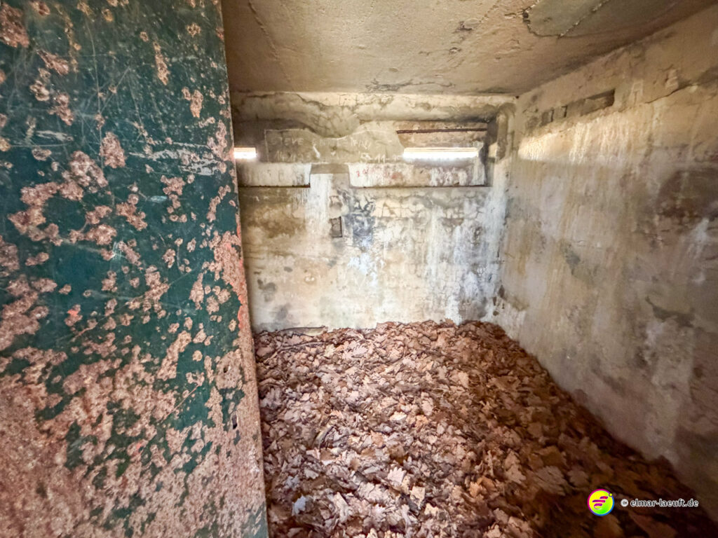 Blick in einen alten, verlassenen Betonraum mit Laub bedecktem Boden während eines Laufs in Maasmechelen.
