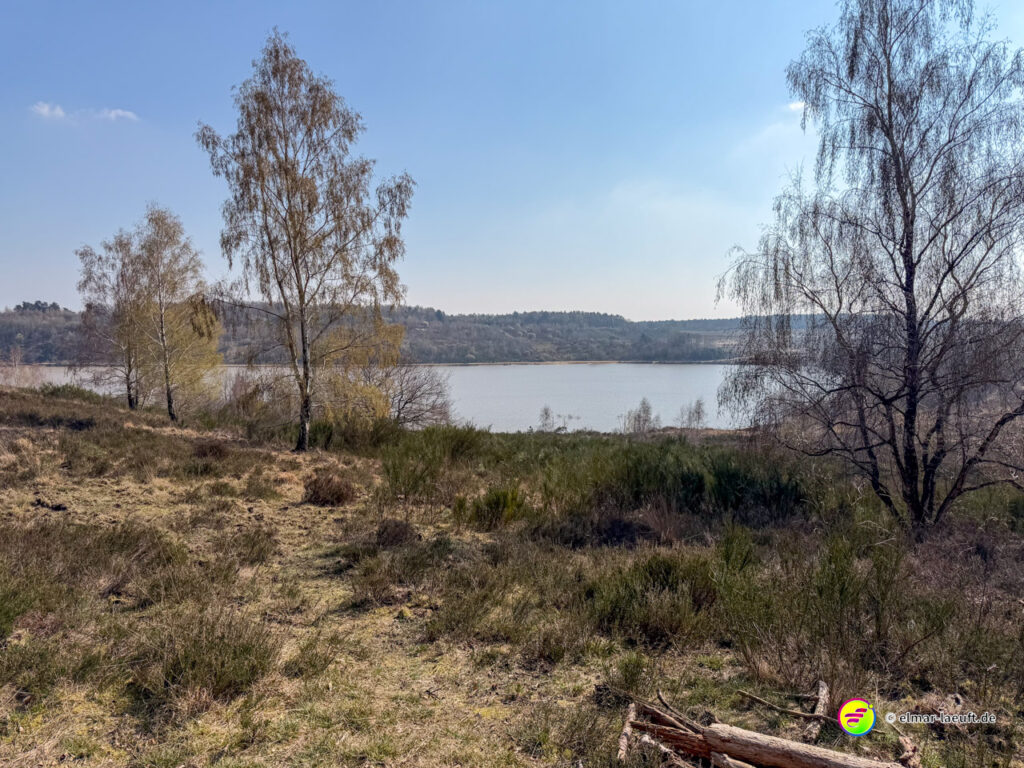 Laufen auf einem naturbelassenen Pfad mit Blick auf einen See und lichte Birken in einer offenen Landschaft bei Maasmechelen.