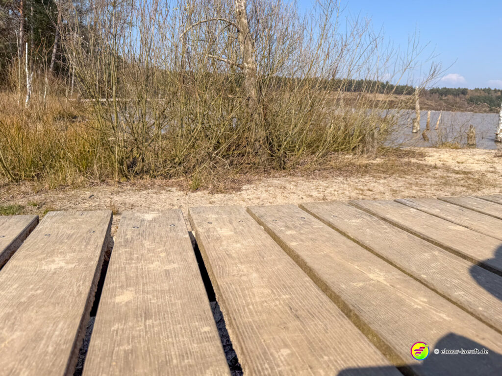 Blick beim Laufen in Maasmechelen auf einen Holzsteg mit Buschwerk und einem See im Hintergrund.