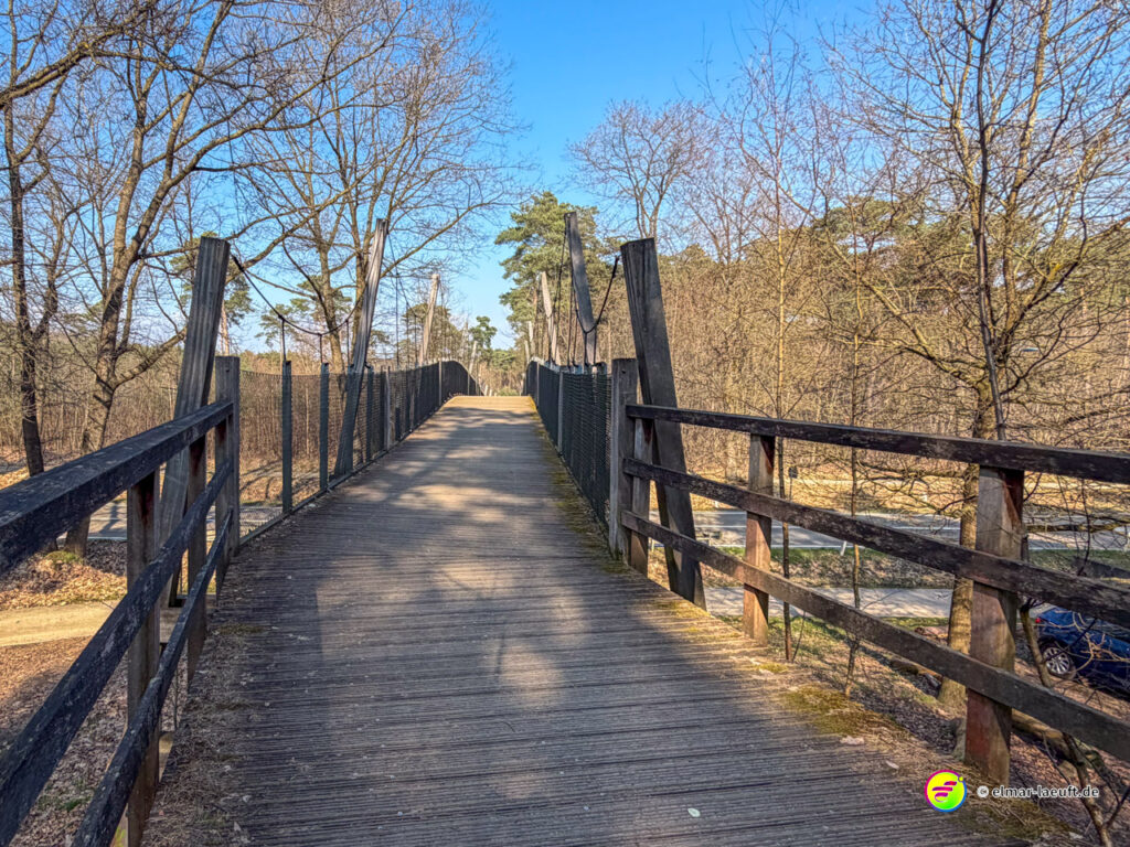 Lauf über eine hölzerne Fußgängerbrücke in einer herbstlichen Waldlandschaft bei klarem Himmel in Maasmechelen.