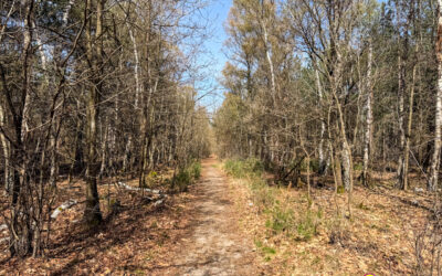 Oplagbeek entdecken: Lauf zwischen Schmetterlingen und Flamingos