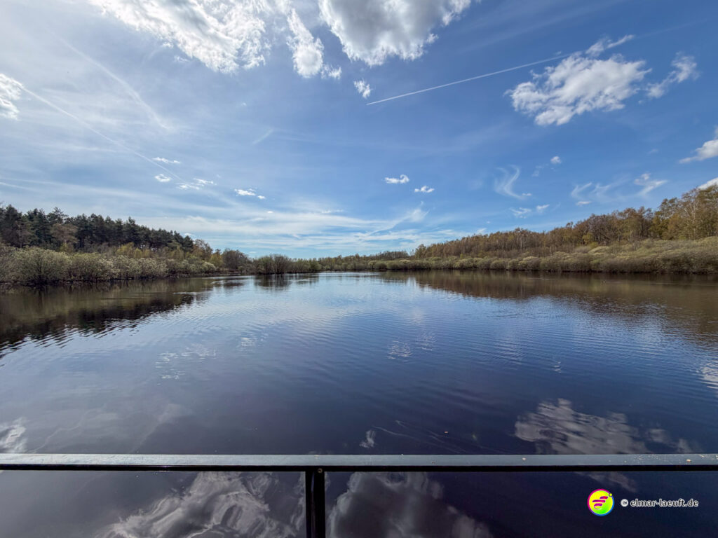Blick von einer Brücke auf einen ruhigen Fluss mit Uferbewuchs und Wald im Hintergrund während eines Laufs in der Natur bei Oplagbeek.