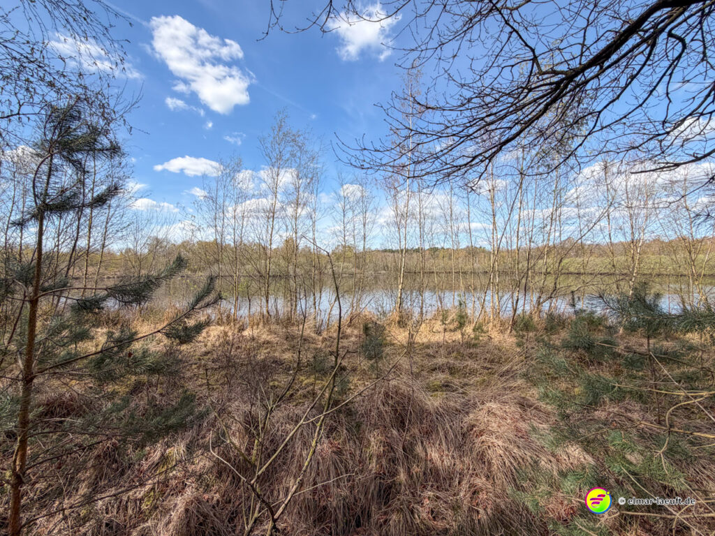 Laufen am Ufer eines ruhigen Sees in Oplagbeek mit kahlen Bäumen und blauem Himmel im Frühling.