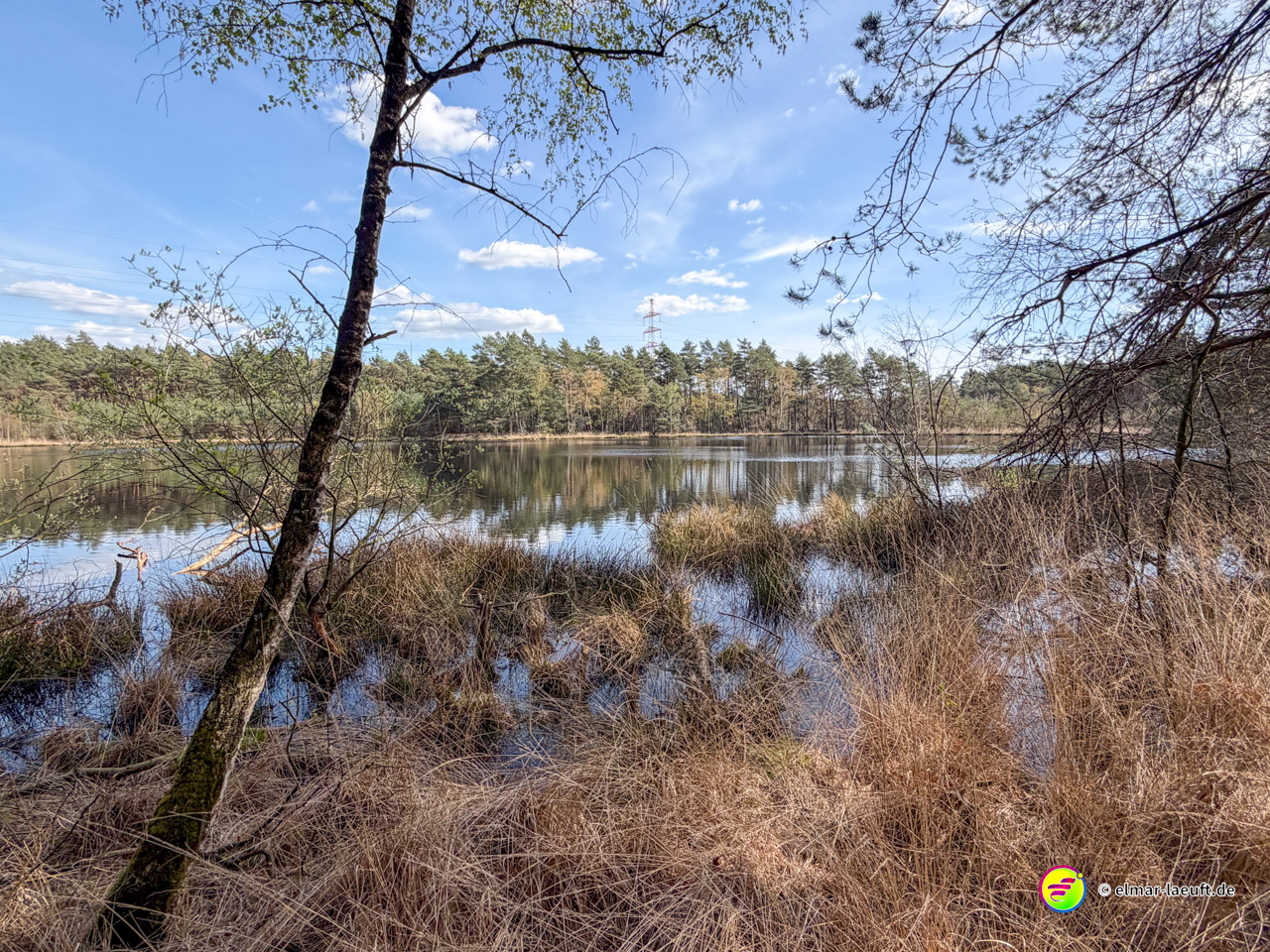 Laufen an einem ruhigen Seeufer mit trockenem Schilf und Bäumen unter blauem Himmel in Oplagbeek.